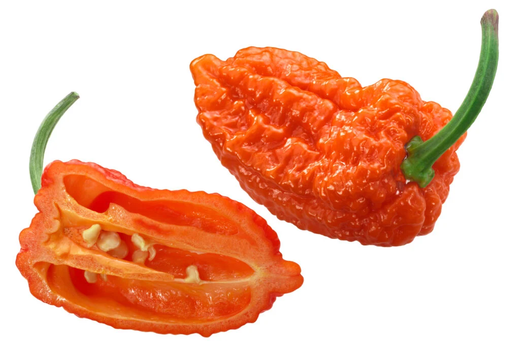 Orange Ghost Pepper