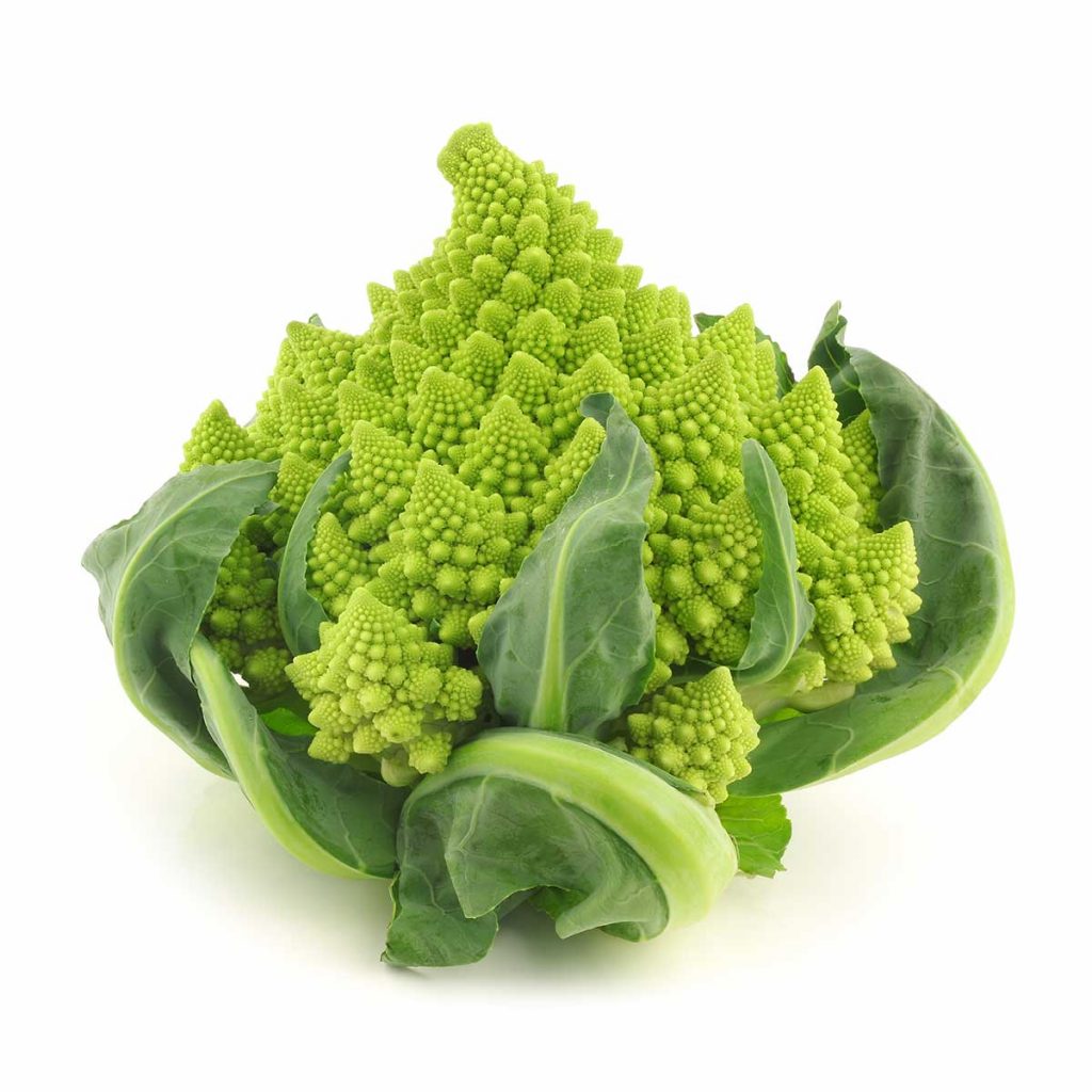 Romanesco Broccoli