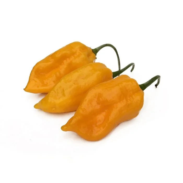 Yellow Ghost Pepper