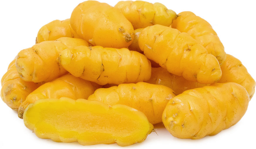 Yellow Oca