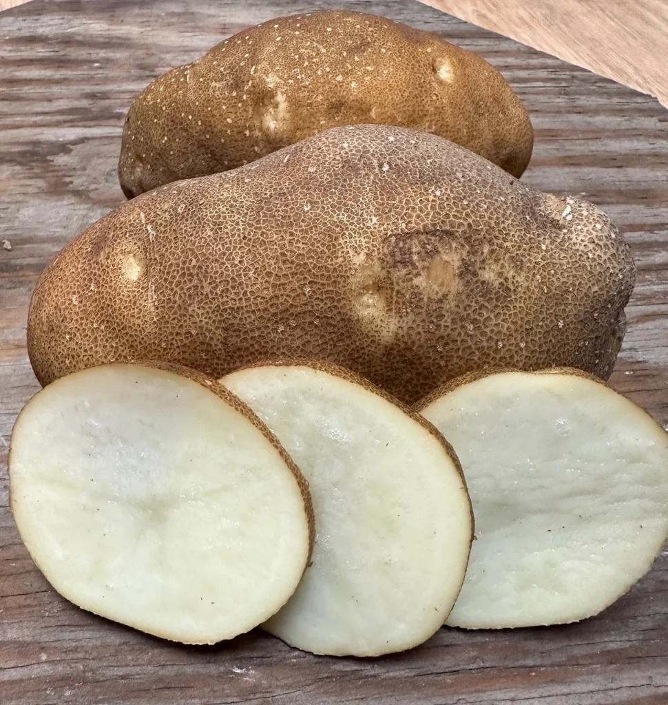 Umatilla Russet