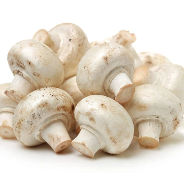 Button Mushrooms (Agaricus bisporus)