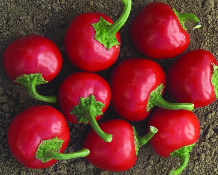 Hot Cherry Pepper