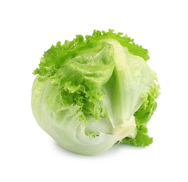 Iceberg Lettuce