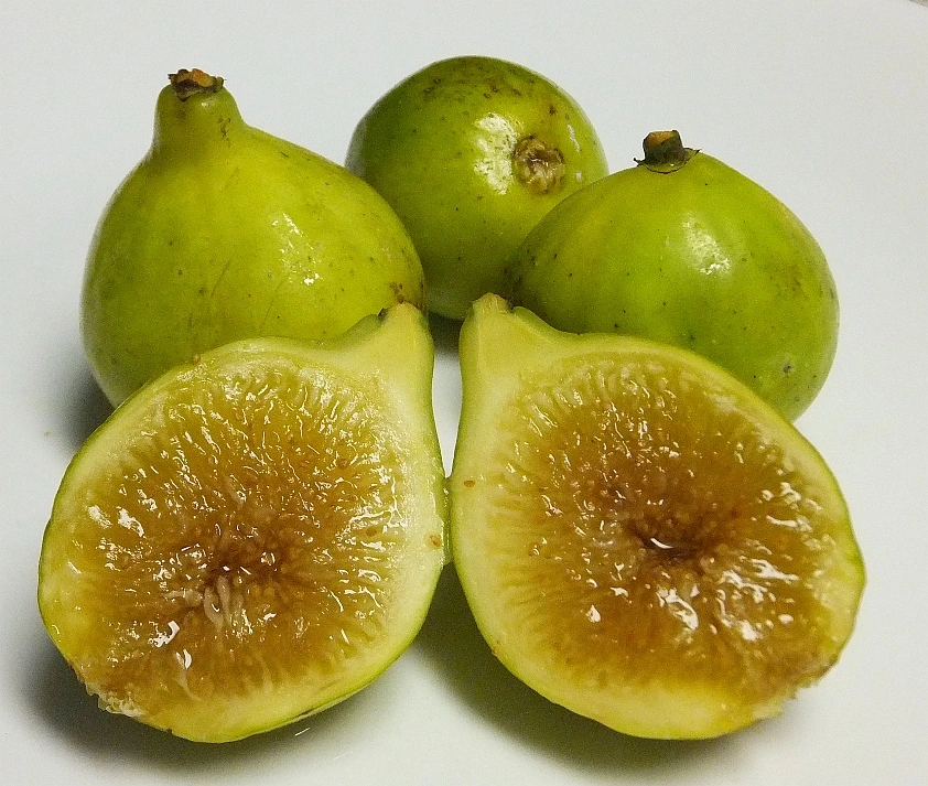 Kadota Figs