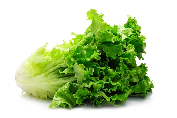 Loose-leaf Lettuce