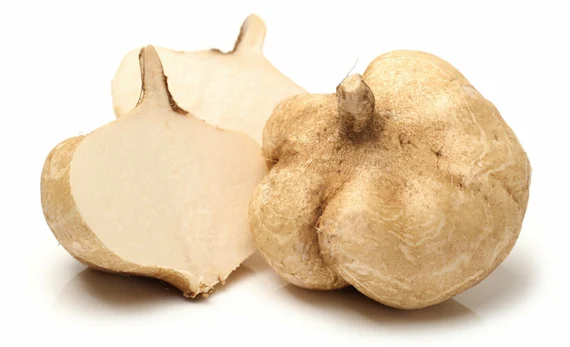 Pachyrhizus erosus (Standard Jicama)