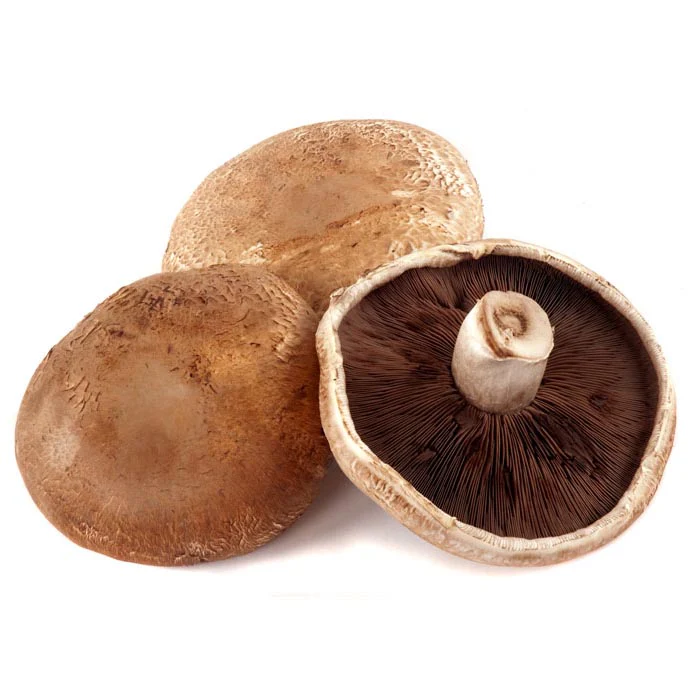 Portobello Mushrooms (Agaricus bisporus)