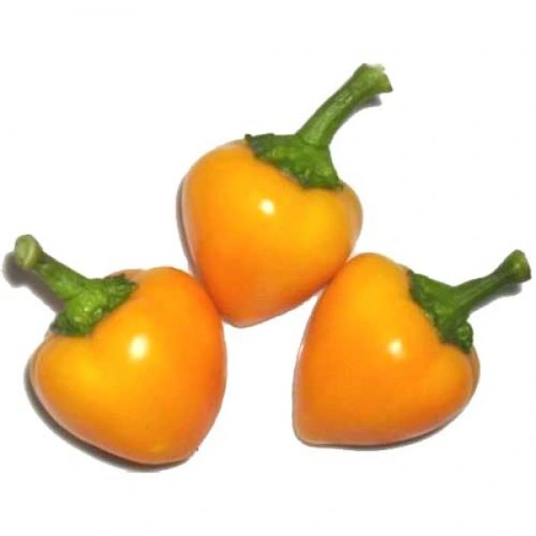 Yellow Cherry Pepper