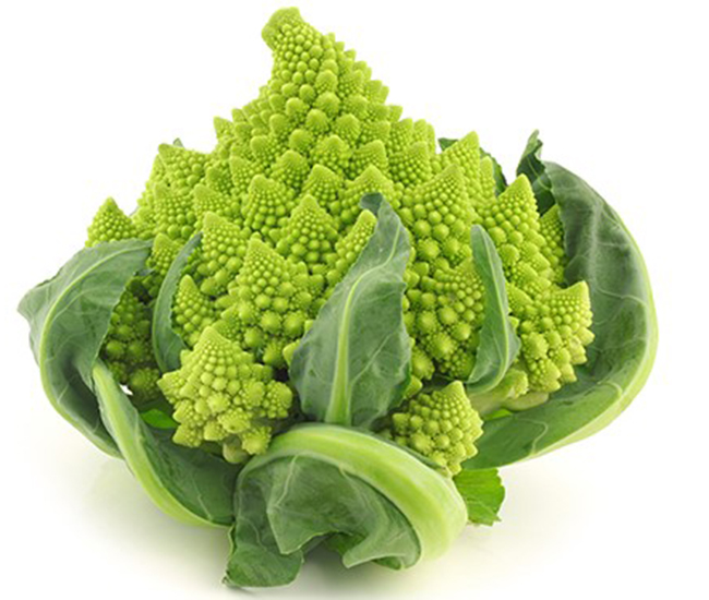 Romanesco Broccoli