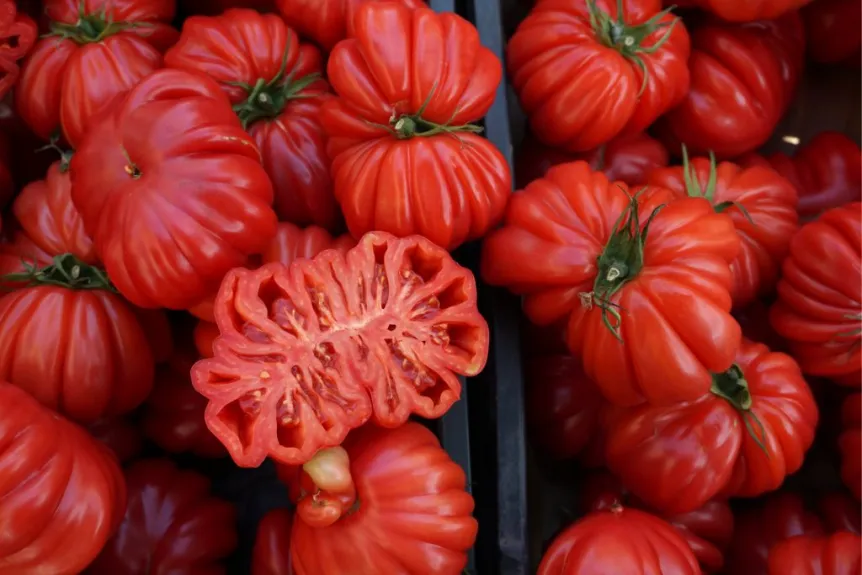 Beefsteak Tomatoes