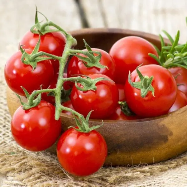 Cherry Tomatoes