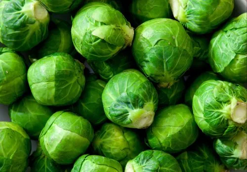 Green Brussels Sprouts