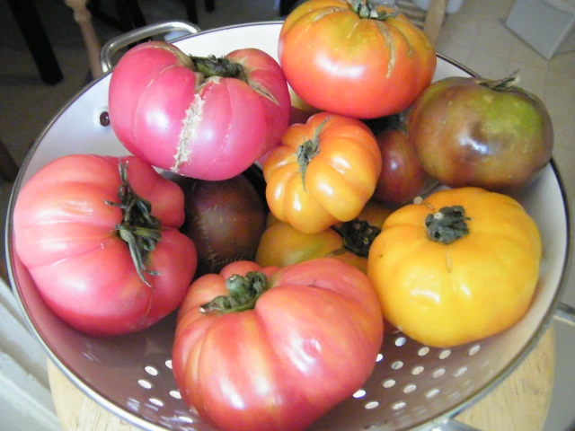 Heirloom Tomatoes