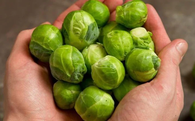 Nautic Brussels Sprouts