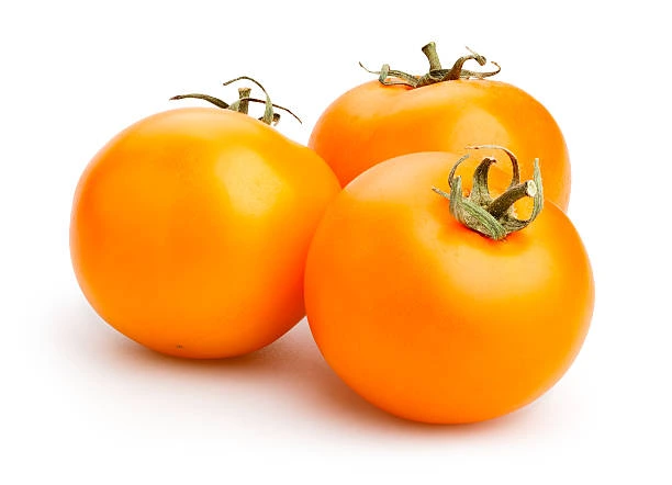 Orange Tomatoes