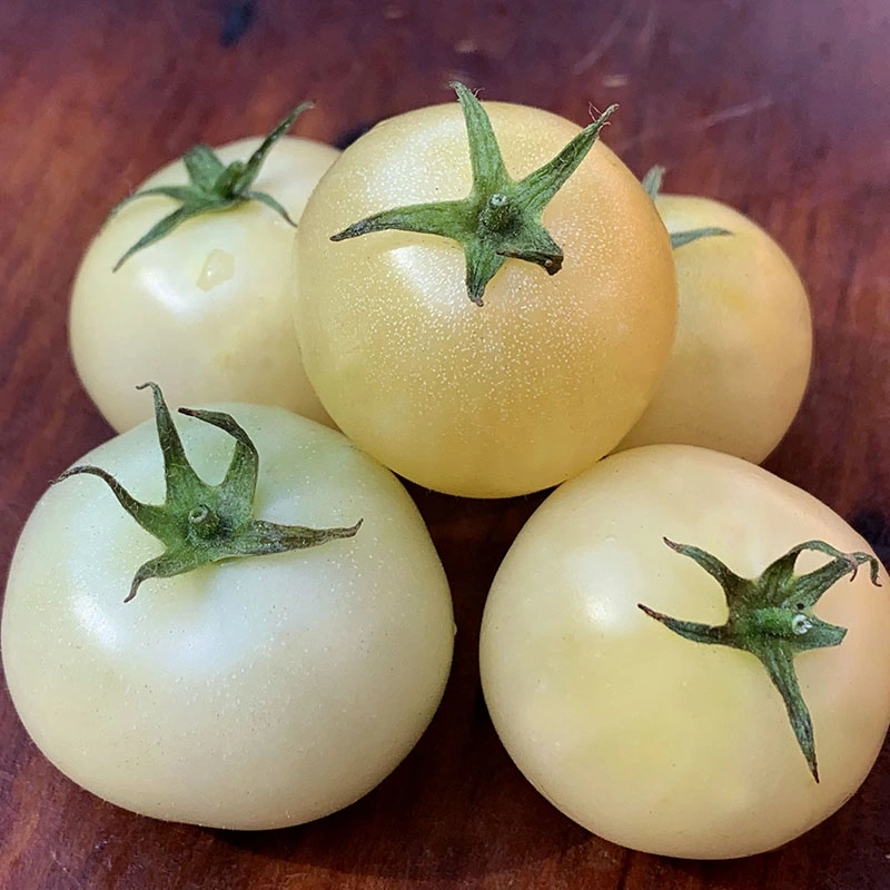 White Tomatoes