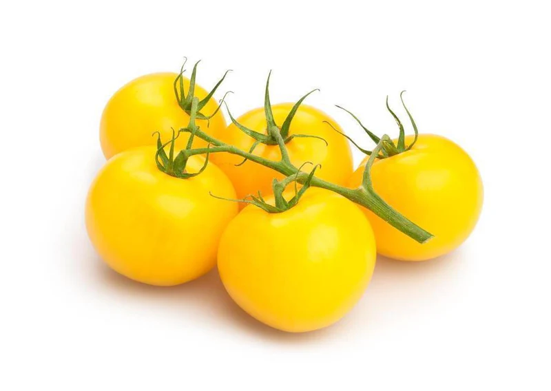 Yellow Tomatoes