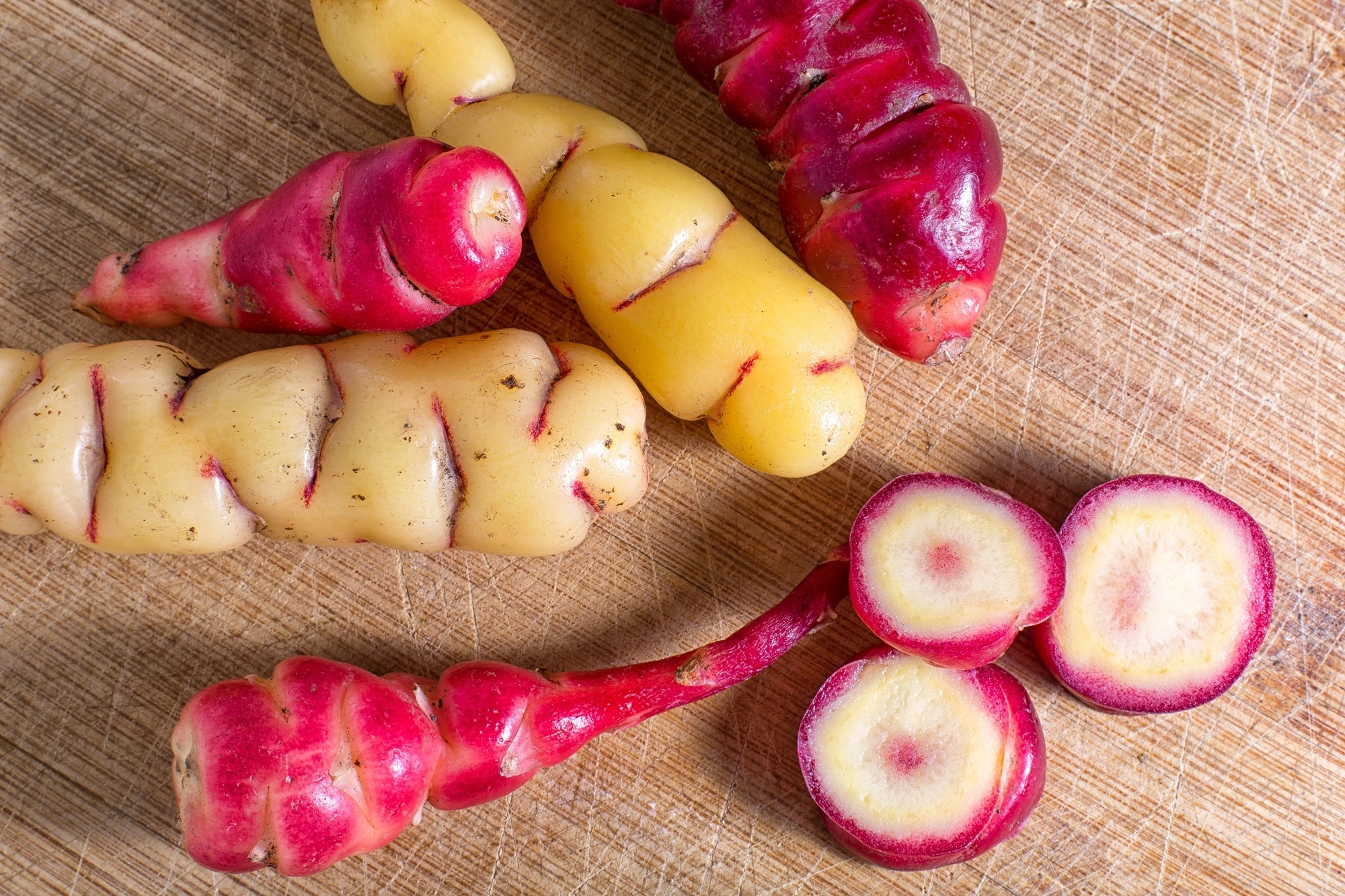 Oca (Oxalis tuberosa)