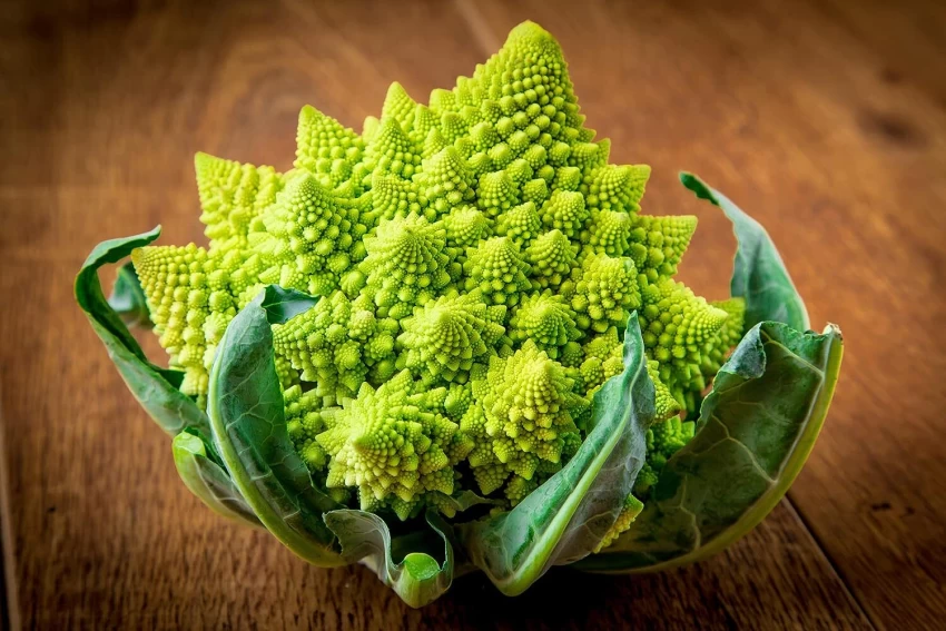 Romanesco