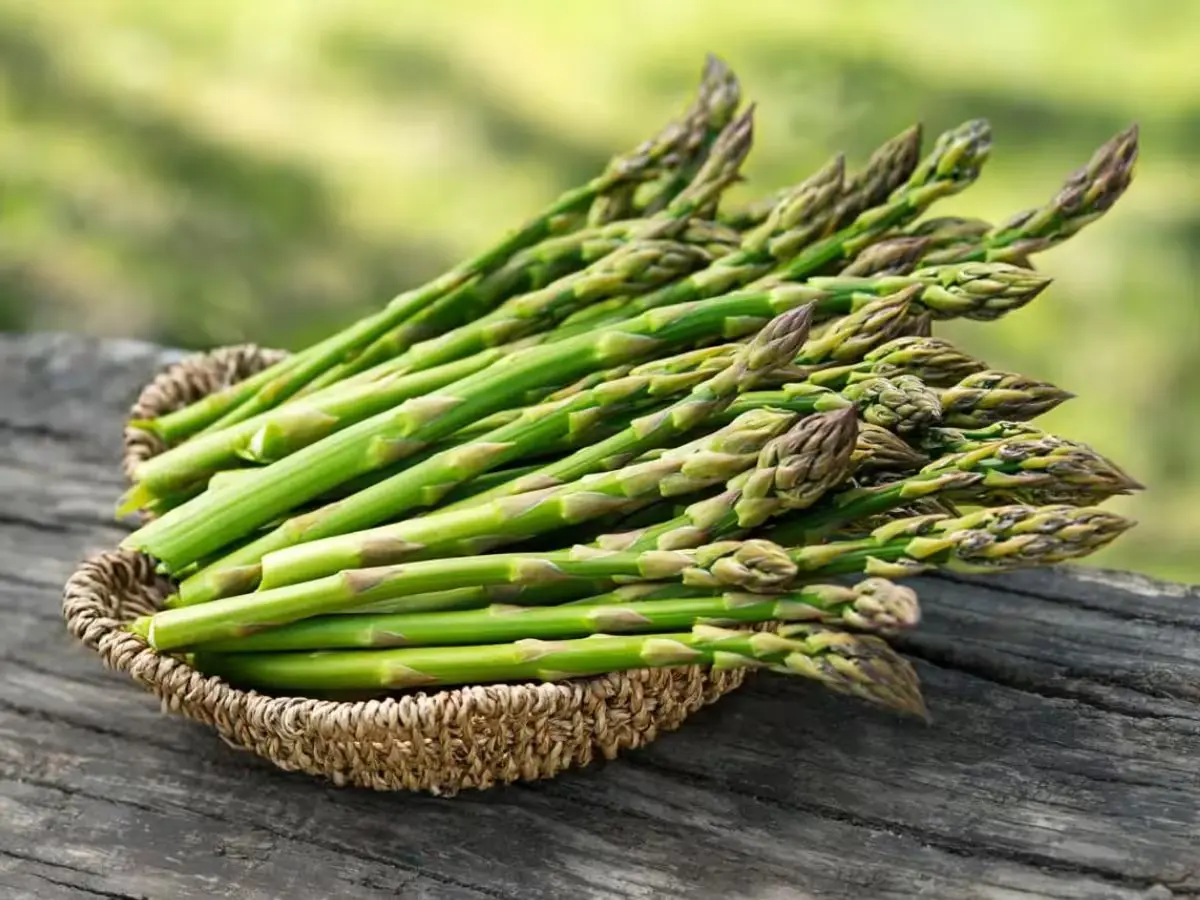 Asparagus Vegetable