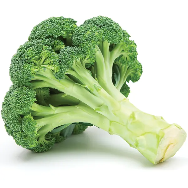 Broccoli Vegetable