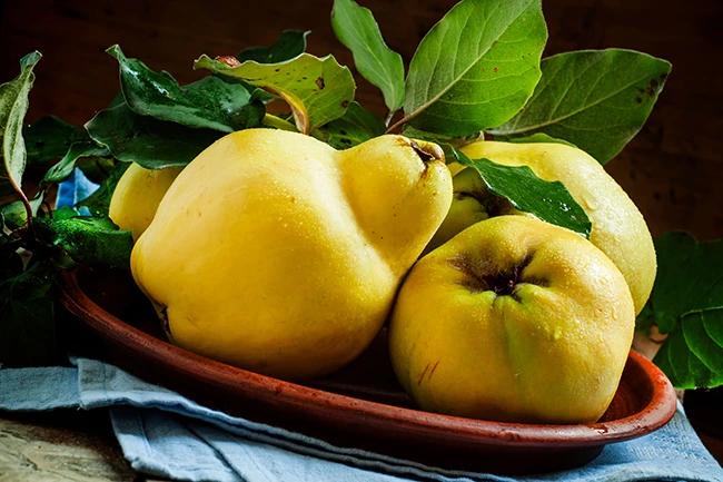 Quince Fruit